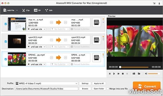 Aiseesoft MKV Converter for Mac